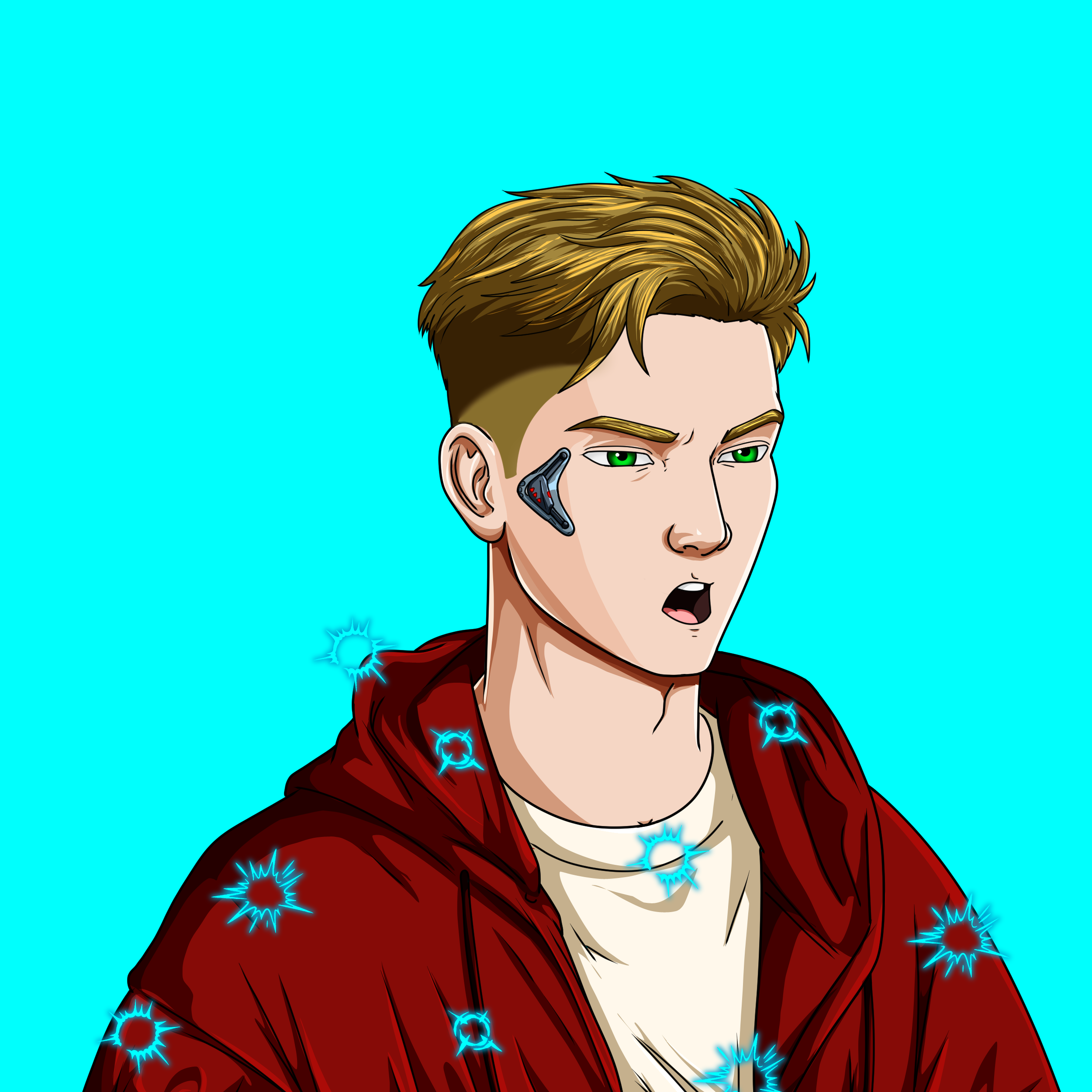 Blitz PFP 11